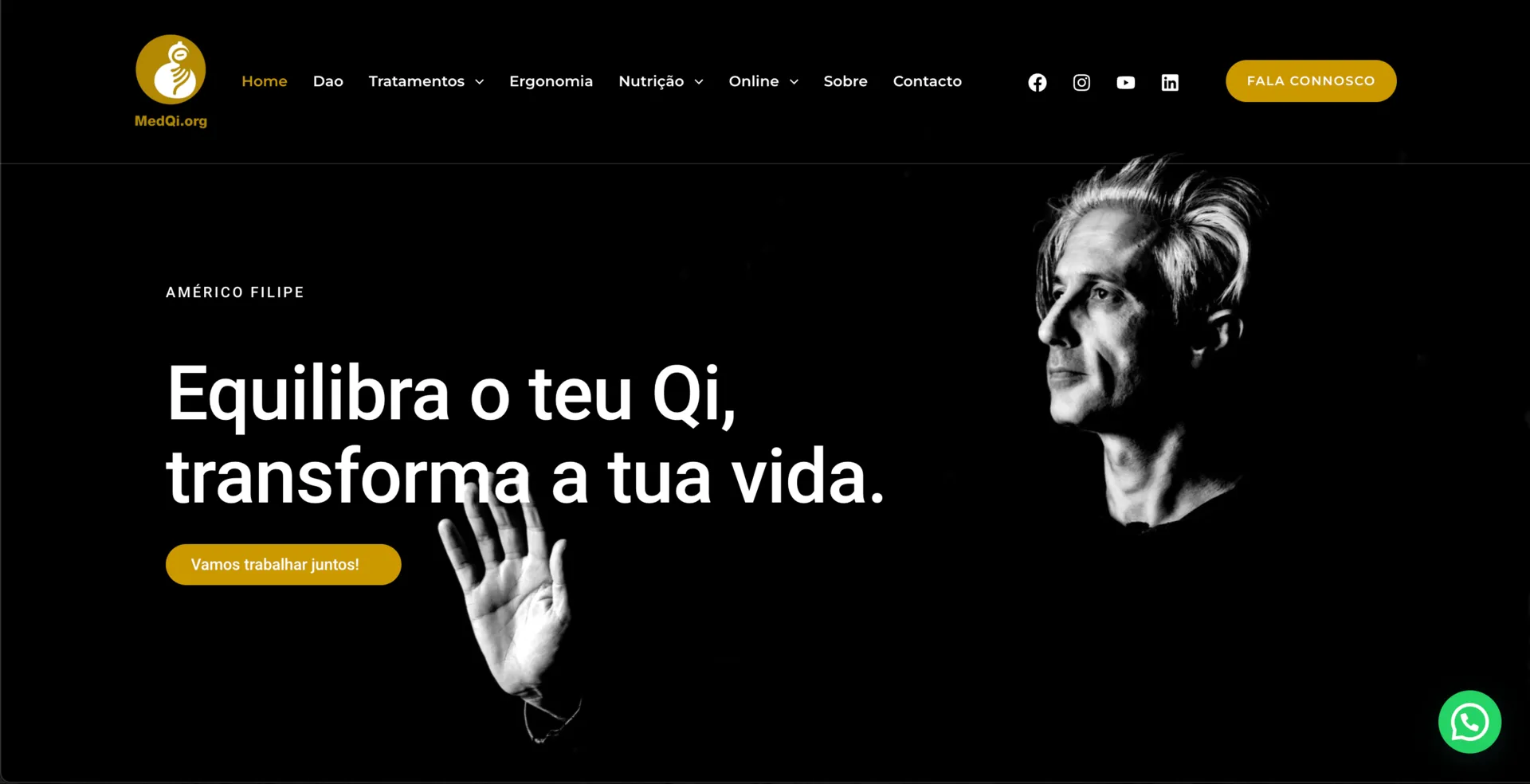 MedQi